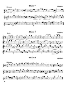 15 Beginner Flute Lessons - DIGITAL PDF + VIDEOS