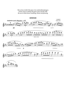 20 Intermediate Flute Lessons - DIGITAL PDF + VIDEOS