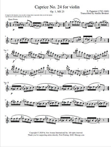 PAGANINI Caprice No.24 for Violin Transcribed for Flute